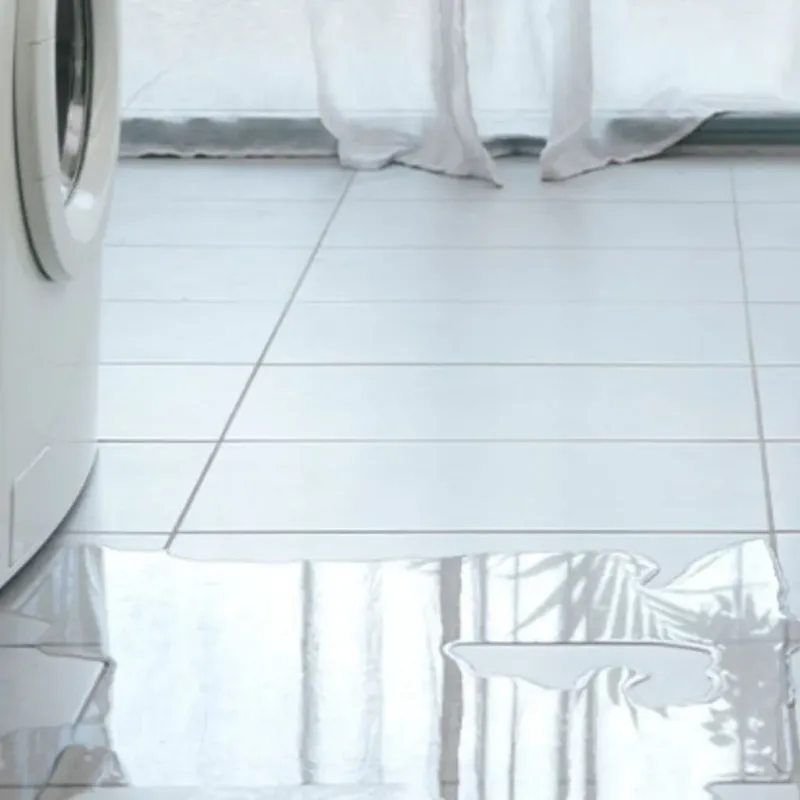 Appliance Leak Cleanup in Madison County, AR