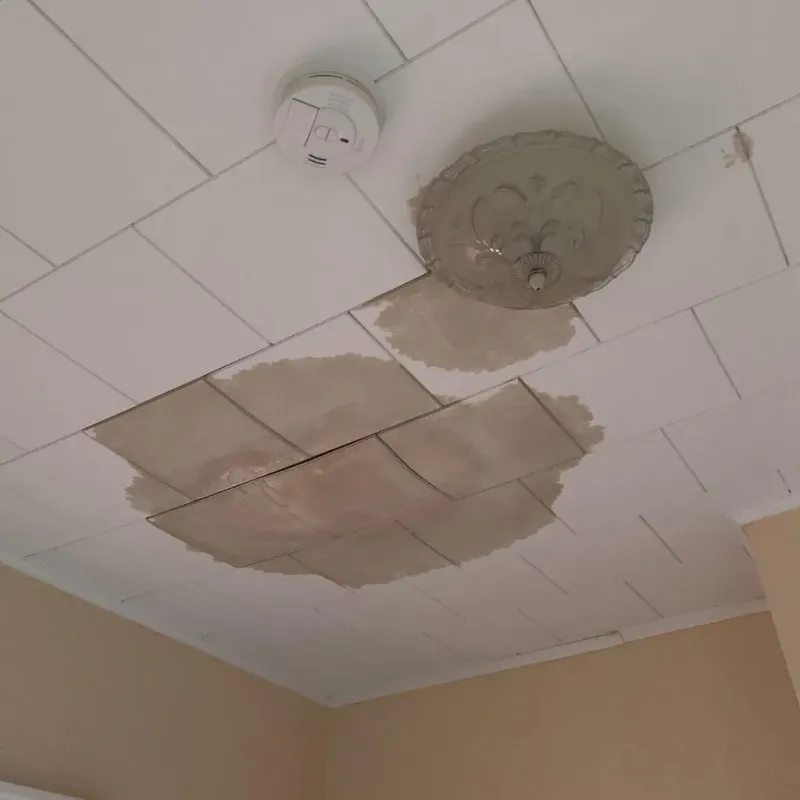 Ceiling Water Damage Repair in Madison County, AR