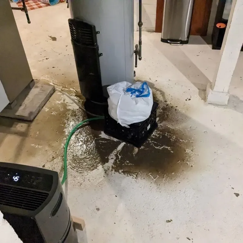 Sewage Backup Cleanup Service in Madison County, AR